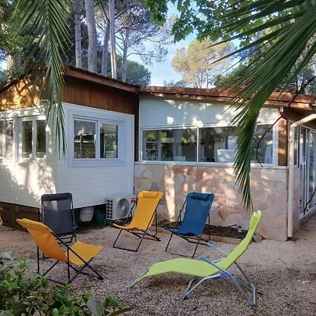 Le Damiseu Fréjus